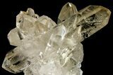 Clear Quartz Crystal Cluster - Brazil #253276-1